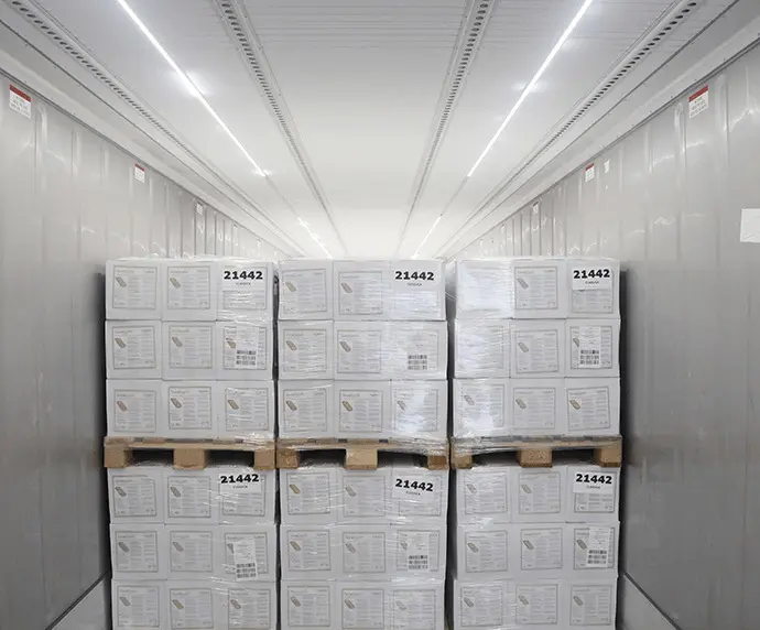 Işıklar – Konteyner Aksesuarları