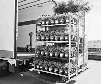 Tarım Sektörü – Soğutuculu Konteyner