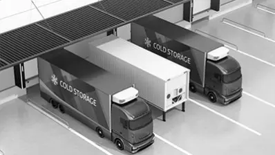 Soğuk Zincir Lojistiği Sektörü