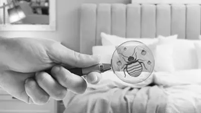 Kamu Sağlığı ve Hizmetleri Sektörü