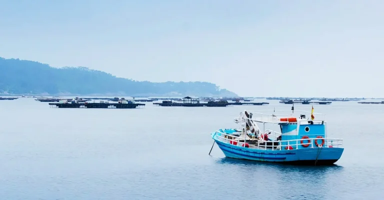 Orkinosun Danimarka'ya nefes kesen geri dönüşü